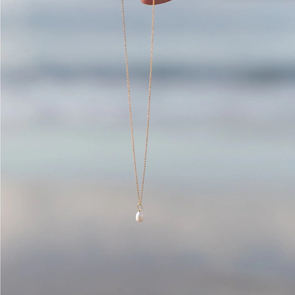 The Jilly Box x knots and pipes necklace, NWT